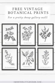 Black And White Botanical Prints Free Free Vintage Botanical Prints Wall Art Free Printable Wall Art Botanical Wall Art Vintage Botanical Prints