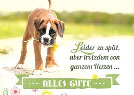 So findet ihr ideen für eure persönlichen worte. Postkarte Alles Gute Leider Zu Spat Geburtstag Vergessen Geburtstag Bilder Lustig Nachtragliche Geburtstagswunsche