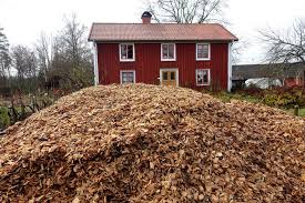 You can put them down thick. Guide Using Wood Chips In The Garden Sara S Kitchen Garden