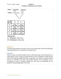 Dihybrid cross punnett square answer key. Ncert Solution For Class 12 Biology Chapter 5 Principles Of Inheritance And Variation