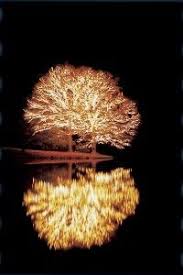 Fantasy In Lights Callaway Gardens Pine Mountain Ga Callaway Gardens Pine Mountain Great Places