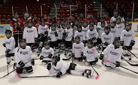 Blu june on liveme.com viewers: U15 Tier 1 News For The Love Of The Game Owen Sound Minor Hockey Group