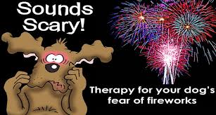 Best online sfx library for your projects. Sound Therapy Firework Training For Dogs Dogs Trust