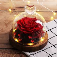 Forever rose in angel glass dome, handmade eternal flowers, galaxy rose, preserved pink rose flowers, gift for mom #beautyrose182 rossengine 4.5 out of 5 stars (29) Preserved Immortal Fresh Rose With Light In Glass Forever Flower Valentines Gift Home Decor Floral Decor