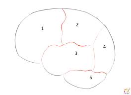 You can make the outline for the brain any size you like. Brain Drawing Archives How To Draw