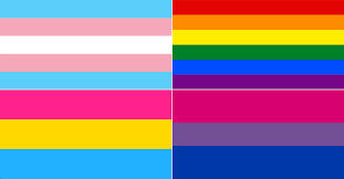 Colores vivos por ambos lados. Guia Rapida Para No Perderte Entre Las Muchas Banderas E Identidades Del Orgullo Lgbt