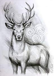 Original Cerf Cerf A3 Crayon Dessin Original Dessin De Etsy Deer Art Pencil Drawings Of Animals Deer Drawing