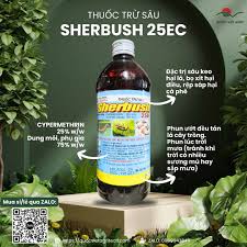Sherbush 25EC