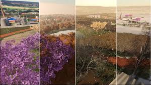 O senac tem orgulho de atender a população de goiânia e região em diversas modalidades de cursos livres, técnicos, de extensão, de graduação. Ls 19 Goias V 1 0 Maps Mod Fur Landwirtschafts Simulator 19