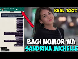 Ia secara pribadi memperoleh penghargaan academy award untuk naskah asli terbaik dan sutradara terbaik. Nomor Wa Sandrinna Michelle Asli 2020 Youtube
