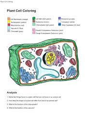 28 biologycorner com worksheet answers answer key biology image information: Animal Cell Coloring Key Cute766