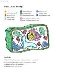 Find this pin and more on botany adventure by shelby boismier. Plant Cell Coloring Key Best Of Coloring Plant Cellloring Answer Key Stunning Dia Animal Cells Worksheet Plant Cells Worksheet Cell Membrane Coloring Worksheet