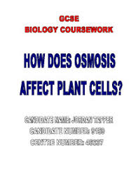 Maybe you would like to learn more about one of these? How Does Osmosis Affect Plant Cells Gcse Science Marked By Teachers Com