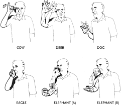 Bird In Sign Language Baby Animal Definition Synonyms From Answers Com Sign Language Phrases Sign Language Words Sign Language
