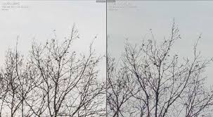 Download the perfect pixel pictures. Small Pixels Large Pixels Compared Pentaxforums Com