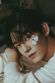 Image result for Exochaenium