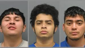 MS-13 gang members accused of killing man, burning car with his body in  trunk at Va. park