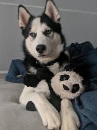 Meteorologist Eric Snitil