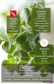 Epingle Sur Cookepices