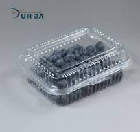 Plastic Blister Transparent Clamshell Fruit Box Packaging ...