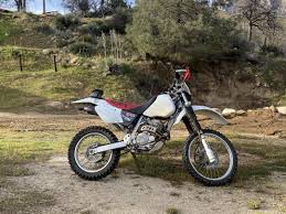 Image result for Birch White 1999 Motorcycle