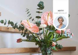 I fell in love with the south of france a long time ago and try to get back there as often as i can. Which Cut Flowers Will Last A Long Time Anthurium English