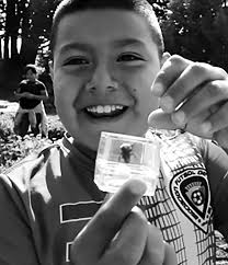 Life Lab cultivates Pajaro Valley children's love of learning and healthy  food