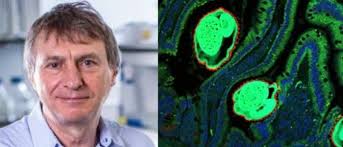 University of Glasgow