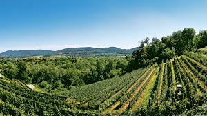 Dezember 2020 in minusio) war ein schweizer architekt und professor für architektur aus dem tessin. Mendrisio Switzerland Tourism