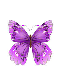 Browse 11,015 purple butterfly stock photos and images available, or search for red spotted purple butterfly or purple butterfly white background to find more great stock photos and pictures. Purple Butterfly Clipart Free Download Transparent Png Creazilla