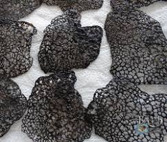 Tuile A L Encre De Seiche Recette Tuiles Tuile Recettes De Cuisine