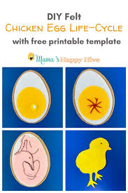 Feel free to download it, print it and share it with your friends. Diy Felt Chicken Egg Life Cycle With Free Printable Template