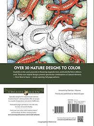 Creative haven naturescapes coloring book. Creative Haven Naturescapes Coloring Book Creative Haven Coloring Books Amazon De Wynne Patricia J Bucher