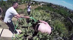 Select from premium jumping on trampoline images of the highest quality. Epic Cactus Jump Gone Wrong W Steve O Zackass Crazy Stunt Jackass Zach Holmes Youtube