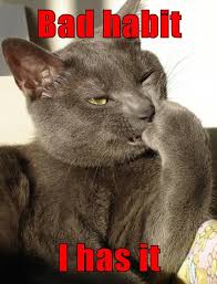 It's Either This Or Your Sofa, Hoomin - Lolcats - Lol | Cat Memes | Funny  Cats | Funny Cat Pictures With Words On Them | Funny Pictures | Lol Cat  Memes | Lol Cats