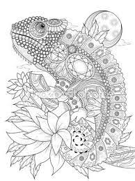Pagina De Adultos Para Colorear De Chameleonb Mandalas Animales Libros Para Colorear Adultos Mandalas Para Imprimir Gratis