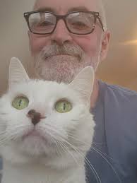 What book archives gay bars in the Detroit area?