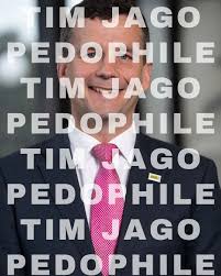 Criticism of Act Party President