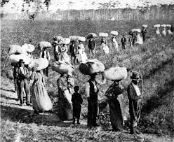 These five countries profited big time from slavery - Page 5 of 6 -  Face2Face Africa