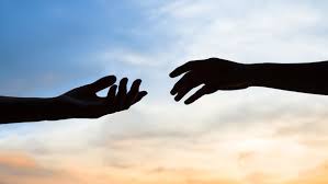 On the subject of something: Power Of Human Connection Brisbane Psychologists