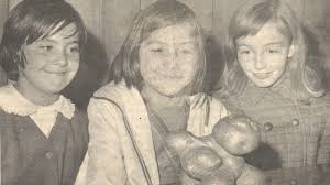 Ski pass has fewer blackouts and insurance for whiteouts