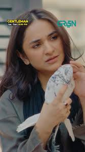 Dilbar aur uski philosophies, Watch Gentleman episode:17