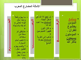 شرح درس اعراب الفعل المضارع وبناؤه نحو في اللغة العربية للصف الثامن