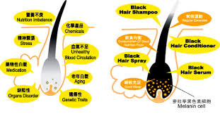 The start of hair graying and the one of the main causes of premature hair graying is the reduction of melanin production over time. Grey Hair Causes Hair Growth