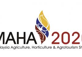 Malaysia telah diberi penghormatan apabila telah dilantik menjadi naib presiden nam dalam persidanganya di belgrade pada tahun 1989. Penglibatan Malaysia Dalam Pertubuhan Komanwel M Update