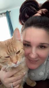 missing cat found safe in Sturgis MI community