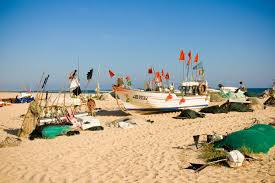 Al emprender el camino hacia la playa, se atraviesa un complejo turístico en el que todavía se pueden ver señales del antiguo paisaje rural. Praia Verde Map Castro Marim Portugal Mapcarta