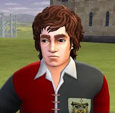Harry Potter: Hogwarts Mystery/Characters