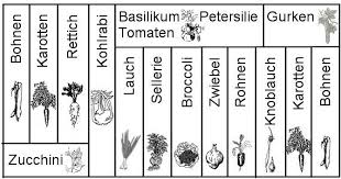 Leihmaschinen Vom Profi Hochbeet Pflanzen Garten Hochbeet