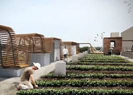 Roof Garden City Farmer News Urban Garden Roof Garden Urban Agriculture